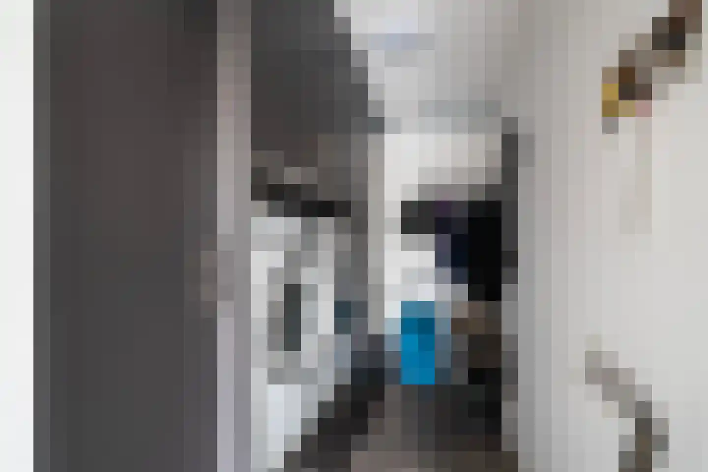 Frederik Hendrikstraat 15 Bleiswijk thumbnail 30