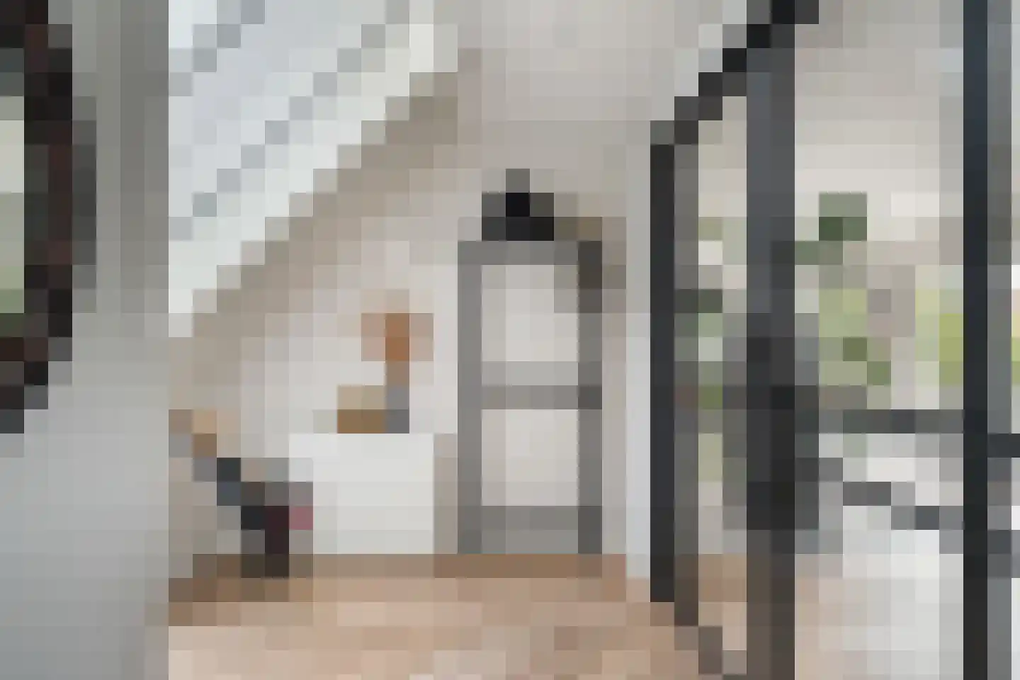 Frederik Hendrikstraat 15 Bleiswijk thumbnail 37