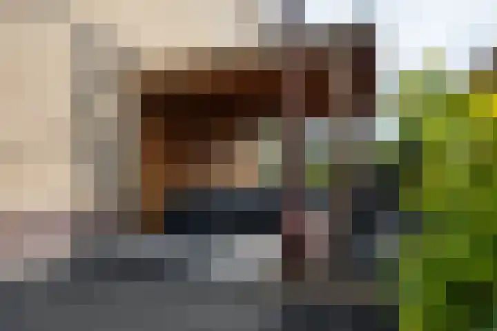 Frederik Hendrikstraat 15 Vianen thumbnail 15