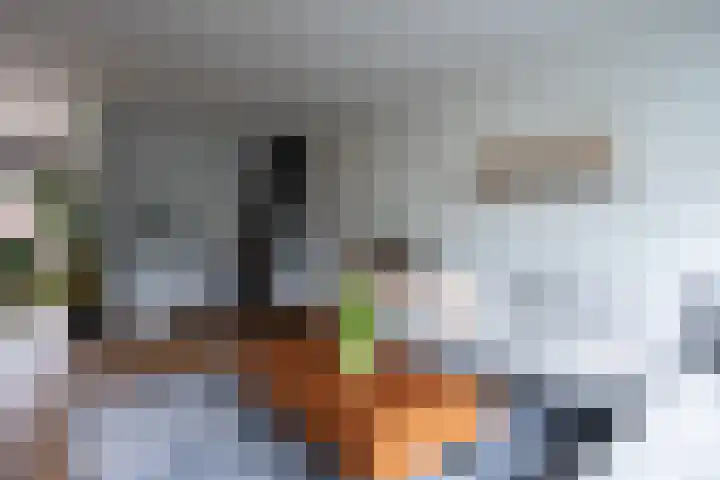 Frederik Hendrikstraat 15 Vianen thumbnail 6