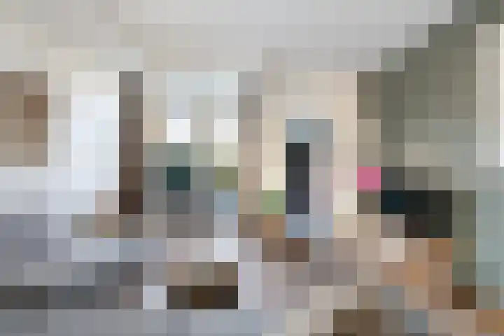 Frederik Hendrikstraat 16 Capelle aan den IJssel thumbnail 10