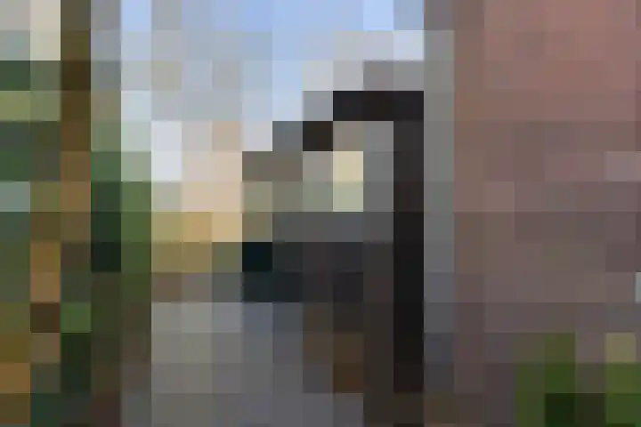 Frederik Hendrikstraat 16 Capelle aan den IJssel thumbnail 27