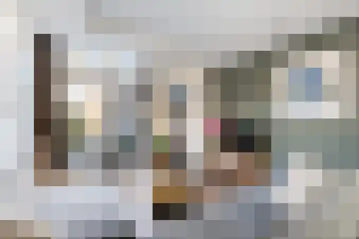 Frederik Hendrikstraat 16 Capelle aan den IJssel thumbnail 9
