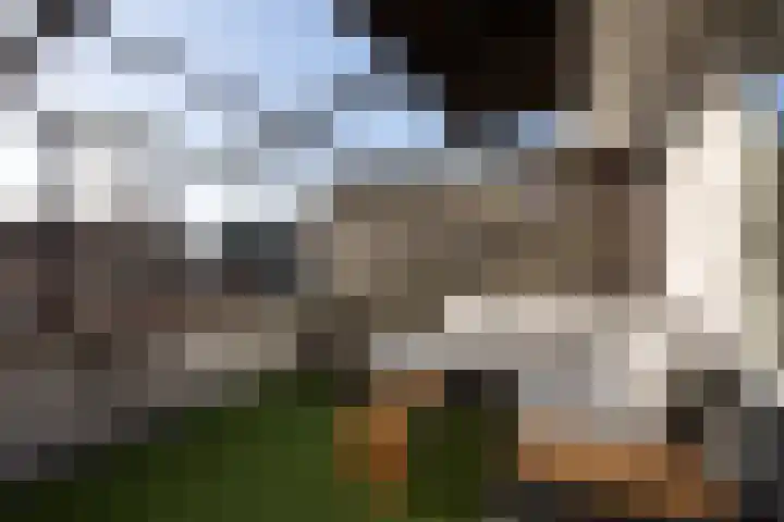Frederik Hendrikstraat 16 I Sneek thumbnail 7