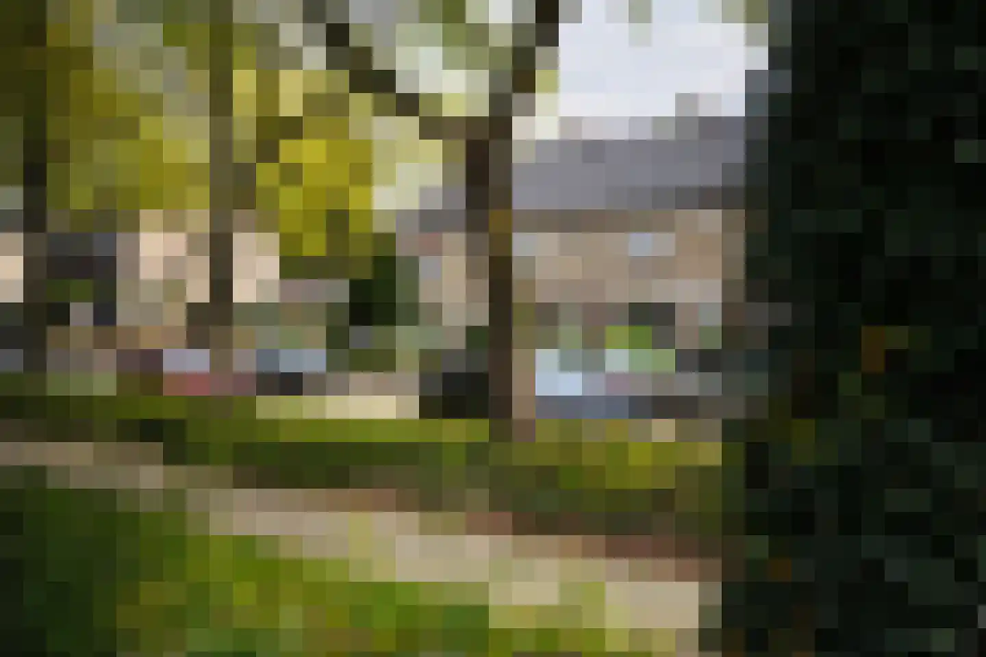 Frederik Hendrikstraat 17 Venlo thumbnail 29