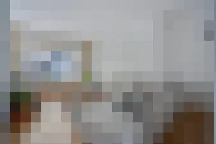 Frederik Hendrikstraat 19 Vroomshoop thumbnail 12