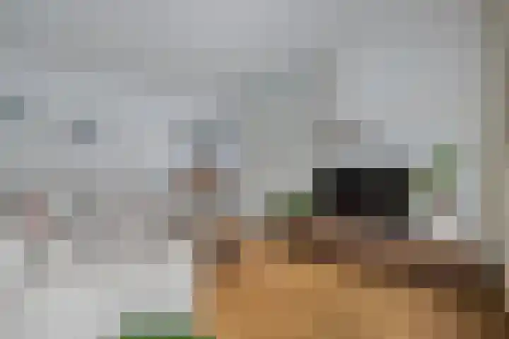 Frederik Hendrikstraat 19 Vroomshoop thumbnail 13