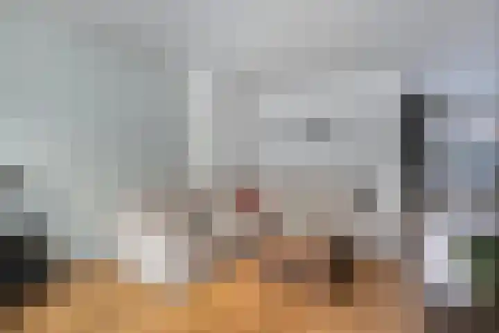 Frederik Hendrikstraat 19 Vroomshoop thumbnail 14