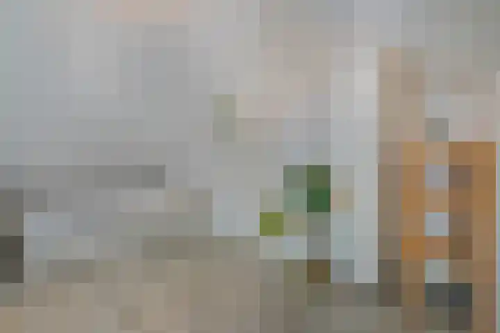 Frederik Hendrikstraat 19 Vroomshoop thumbnail 30