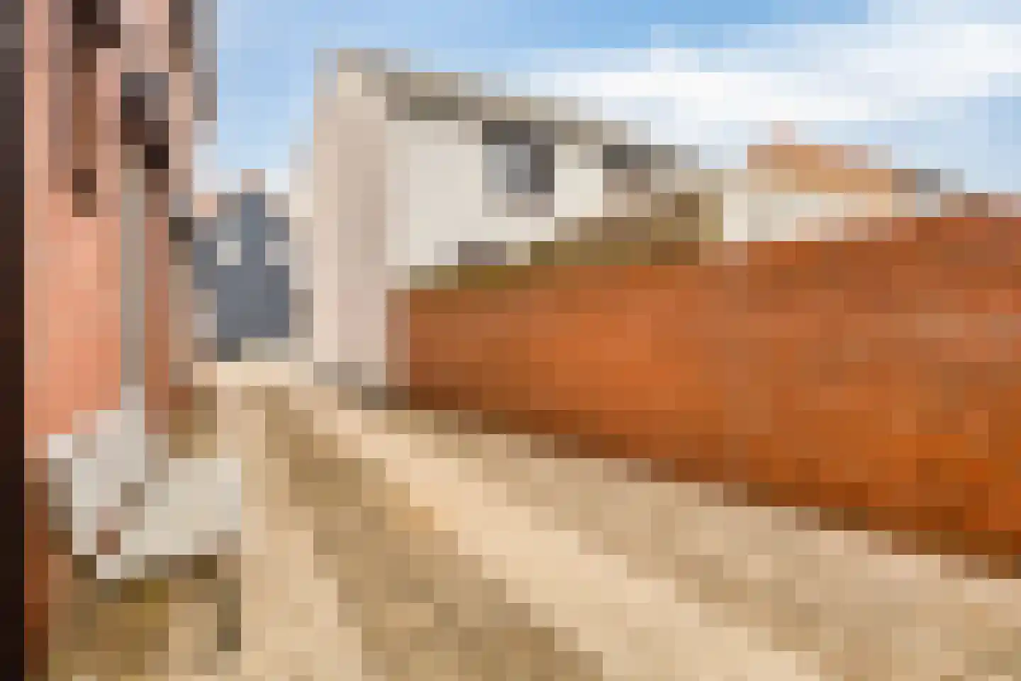 Frederik Hendrikstraat 2 Lamswaarde thumbnail 21