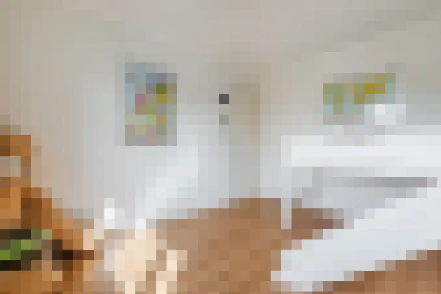 Frederik Hendrikstraat 2 Veldhoven thumbnail 18