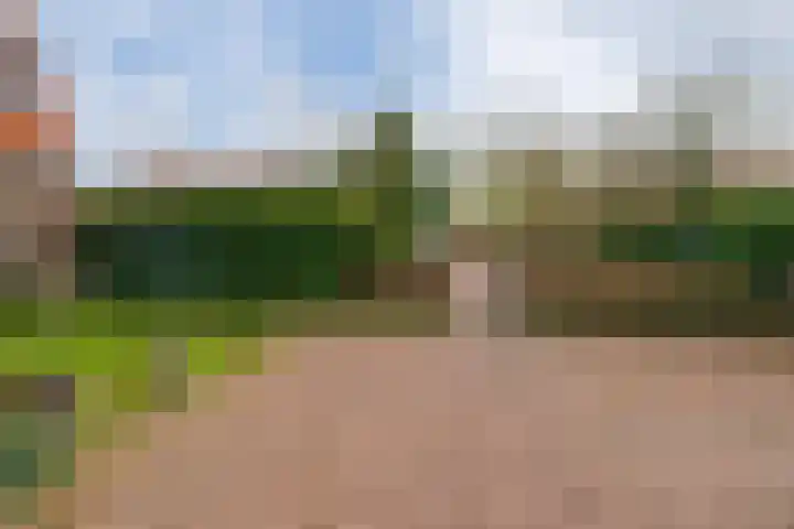 Frederik Hendrikstraat 2 Waalre thumbnail 20