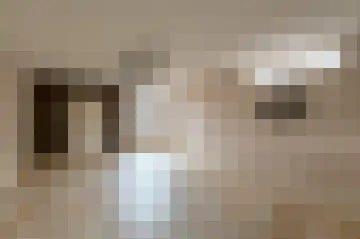 Frederik Hendrikstraat 2 Waalre thumbnail 4