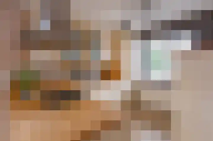 Frederik Hendrikstraat 2 Waalre thumbnail 5
