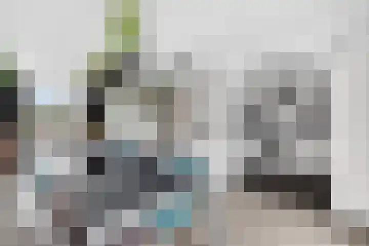 Frederik Hendrikstraat 21 Waalre foto 3