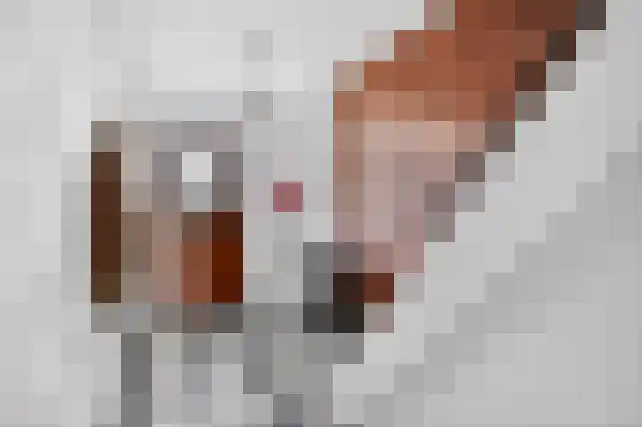 Frederik Hendrikstraat 21 Waalre thumbnail 6