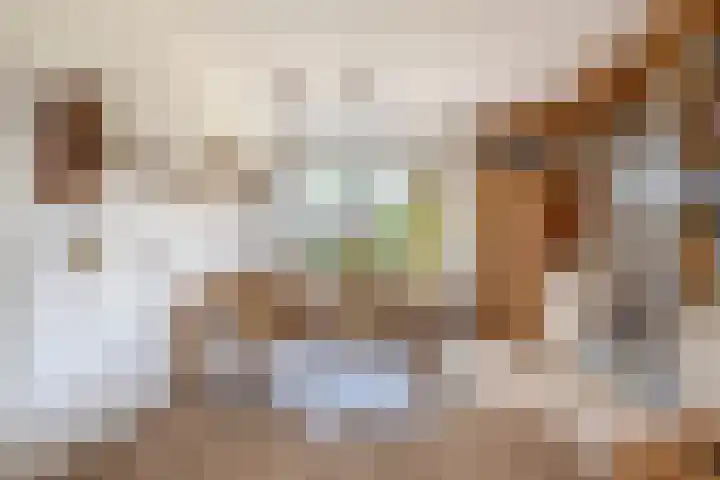 Frederik Hendrikstraat 23 Moerkapelle thumbnail 10