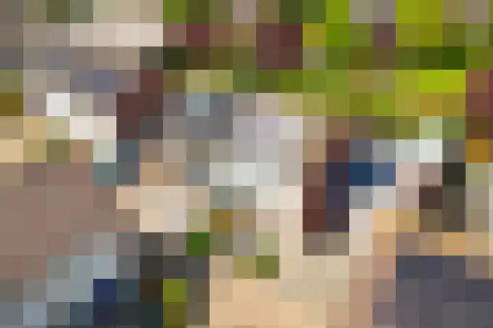 Frederik Hendrikstraat 29 Veen thumbnail 38