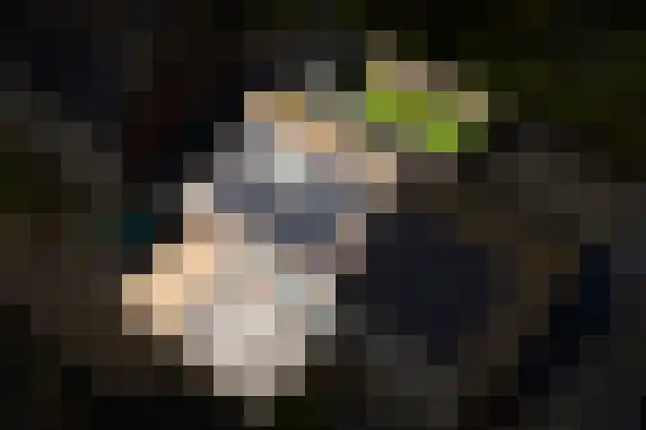 Frederik Hendrikstraat 29 Veen thumbnail 39