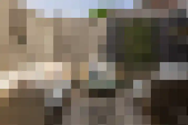 Frederik Hendrikstraat 3 Capelle aan den IJssel thumbnail 30