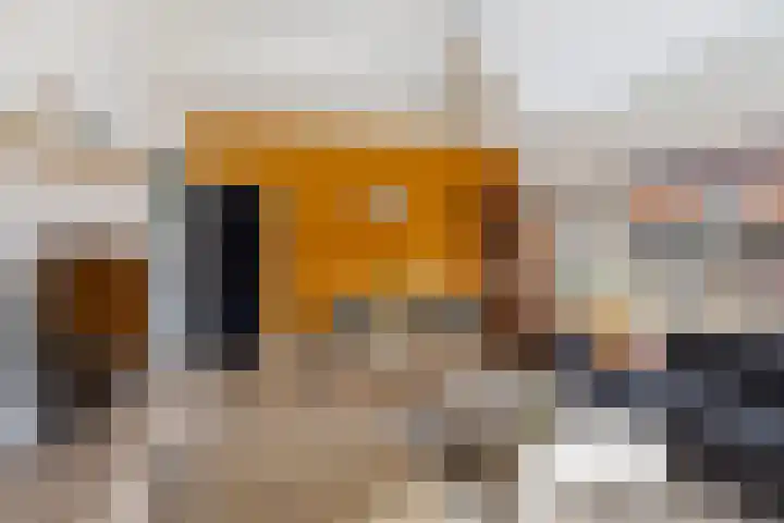Frederik Hendrikstraat 37 Sneek thumbnail 6