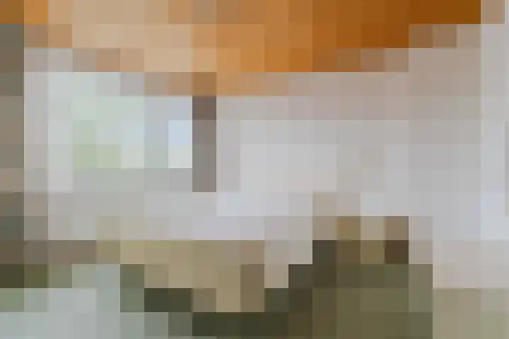 Frederik Hendrikstraat 44 Veldhoven thumbnail 31