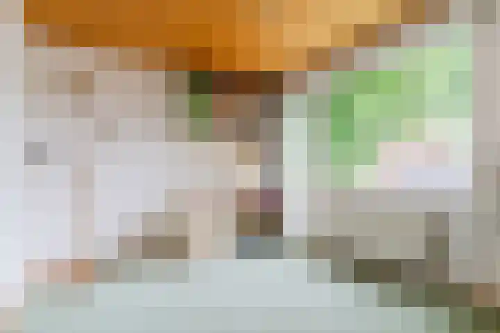 Frederik Hendrikstraat 44 Veldhoven thumbnail 33