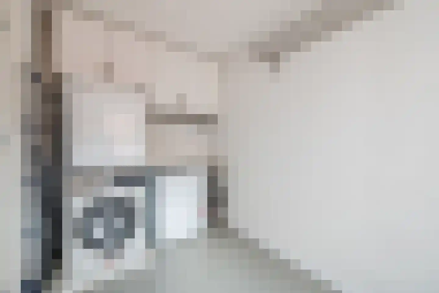 Frederik Hendrikstraat 5 Veldhoven thumbnail 20