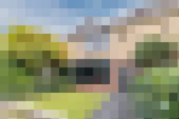 Frederik Hendrikstraat 5 Vianen thumbnail 5