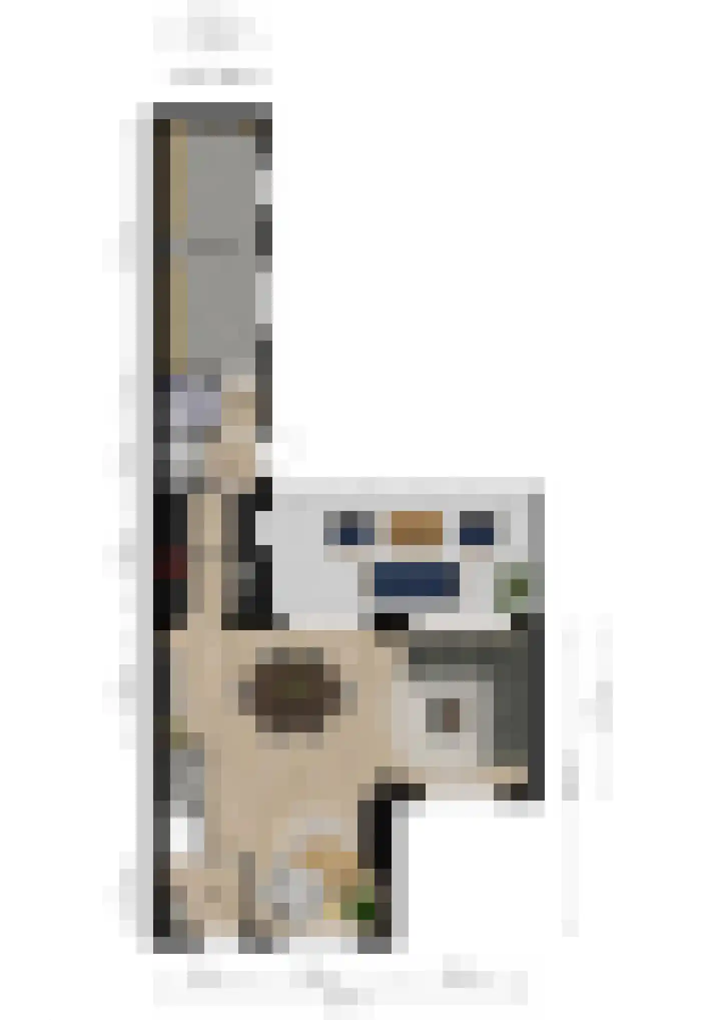 Frederik Hendrikstraat 54 Waalre thumbnail 39