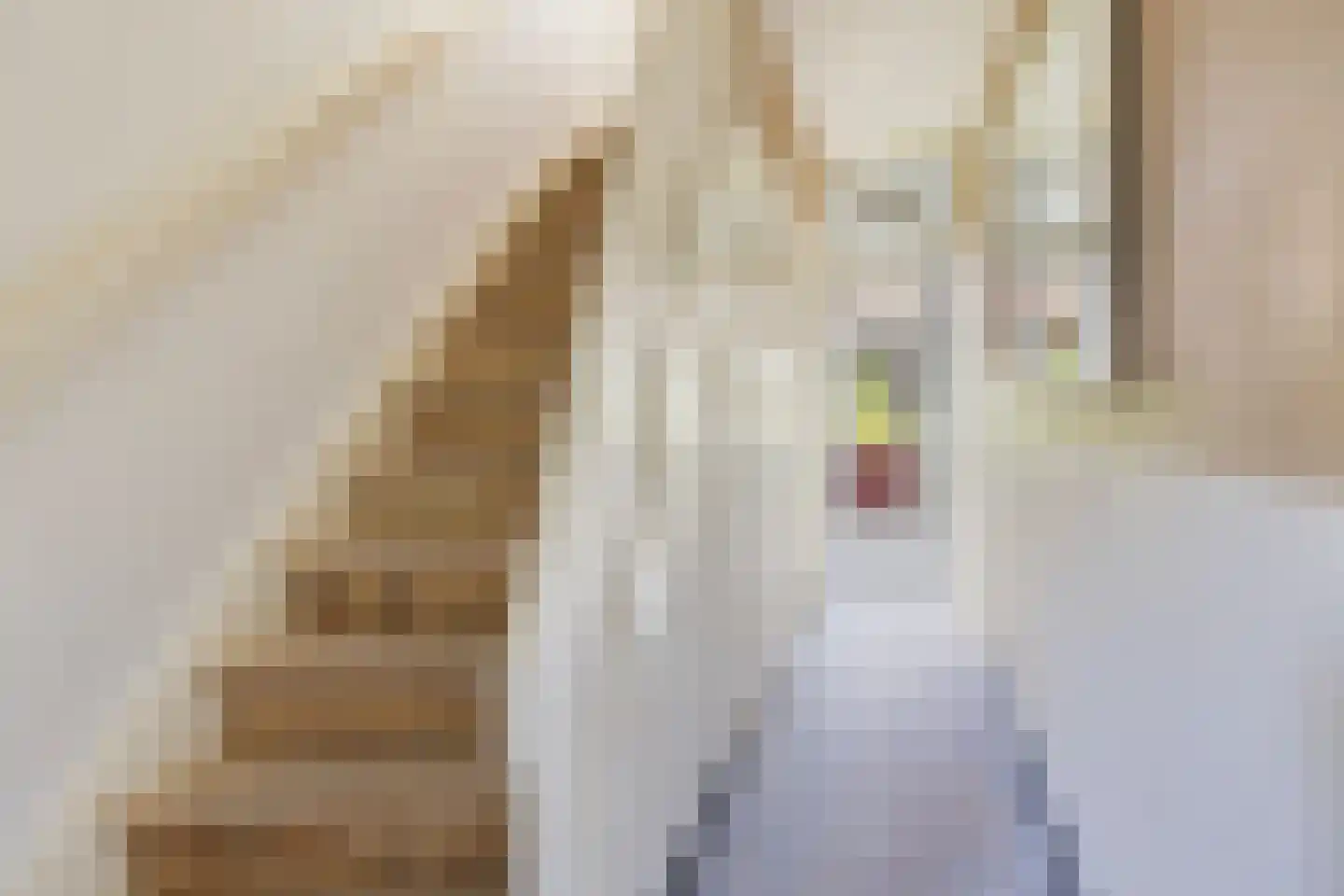 Frederik Hendrikstraat 7 Maassluis thumbnail 24