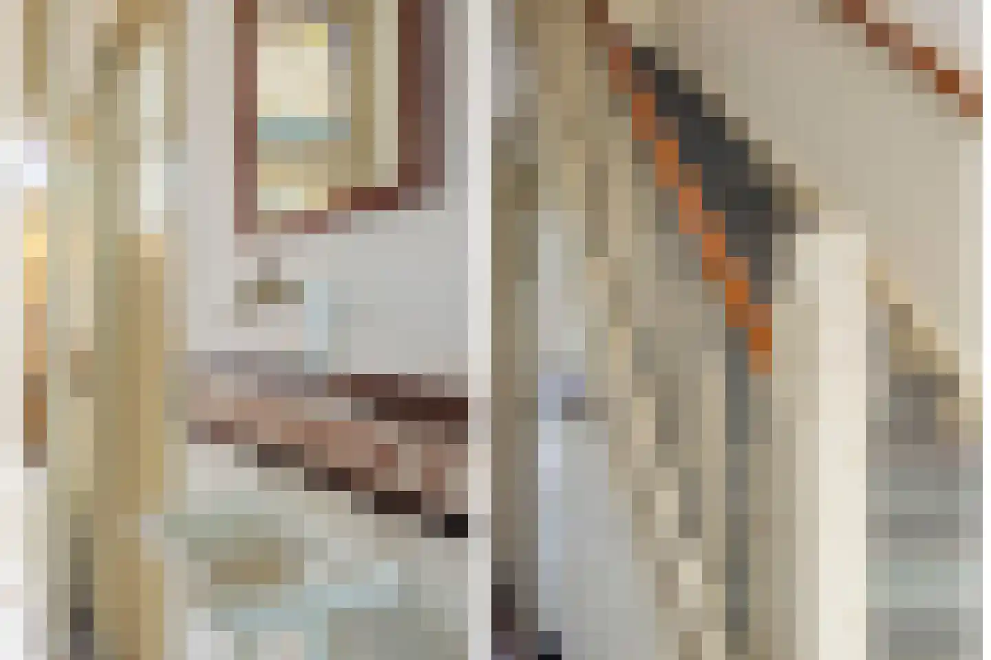 Frederik Hendrikstraat 81 Utrecht thumbnail 8
