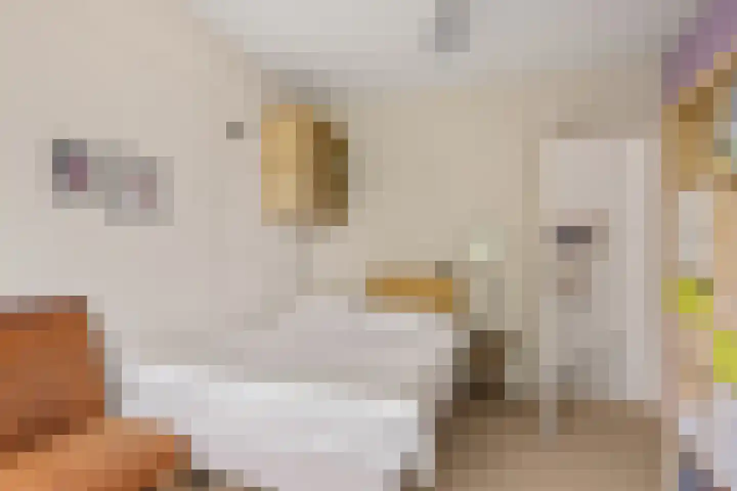 Frederik Hendrikstraat 91 Utrecht thumbnail 36