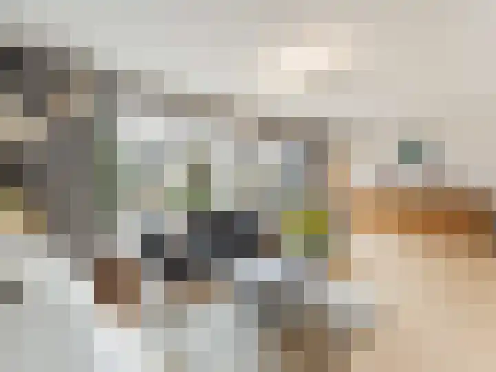 Frederik Loewestraat 13 Utrecht thumbnail 7