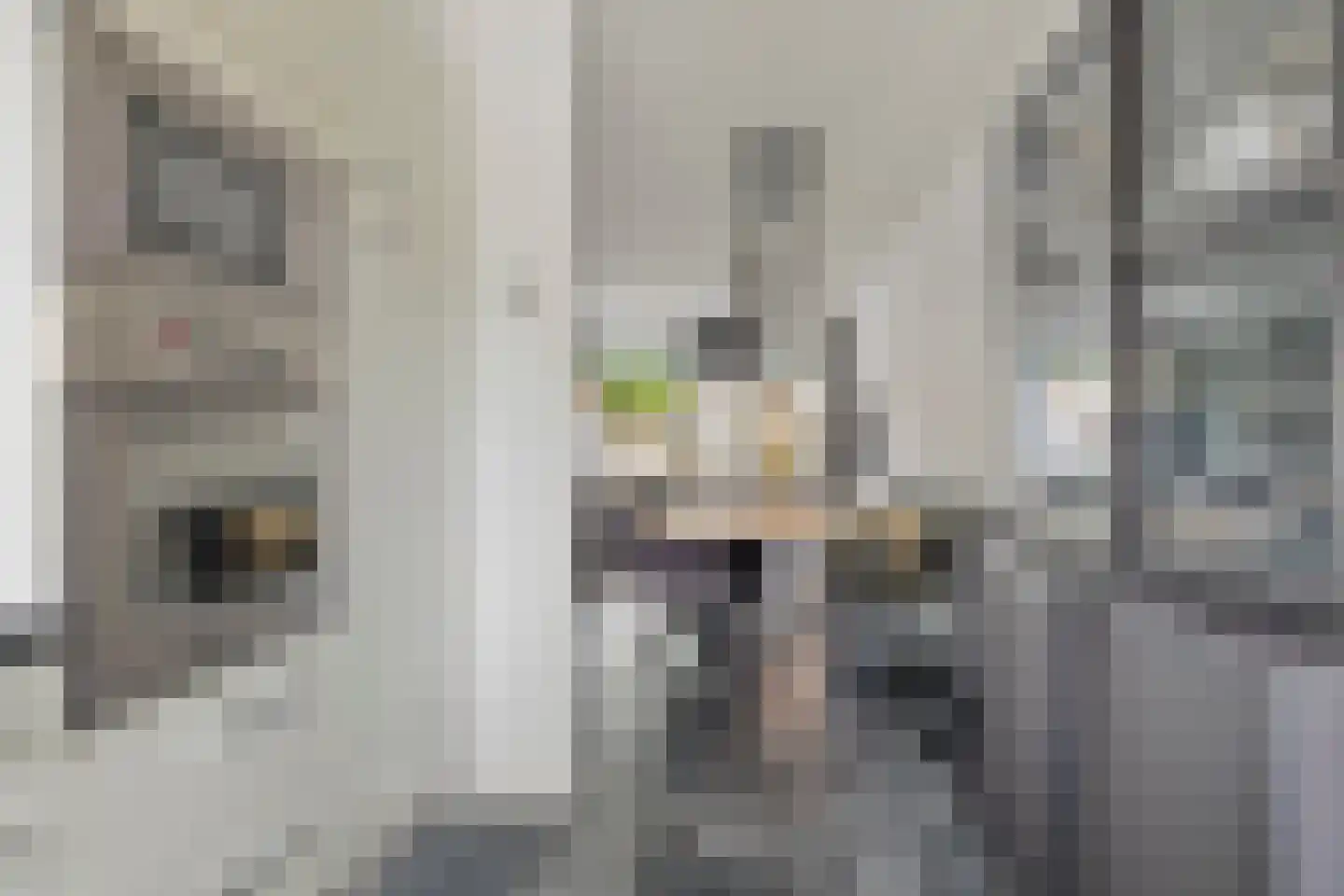 Frederik Maystraat 10 Bergen op Zoom thumbnail 17