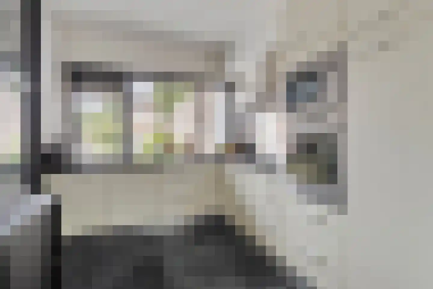 Frederik Maystraat 10 Bergen op Zoom thumbnail 5