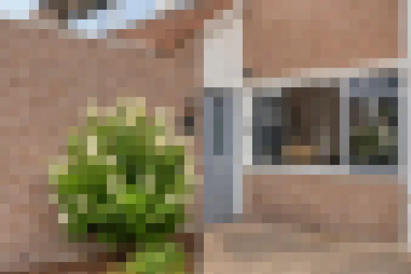 Frederik Maystraat 10 Bergen op Zoom thumbnail 9