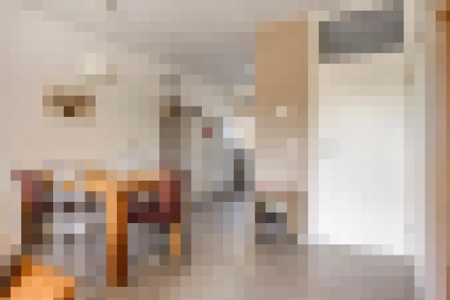 Frederik Maystraat 2 Bergen op Zoom thumbnail 9