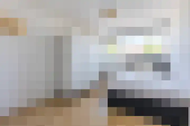 Frederik Maystraat 20 Bergen op Zoom thumbnail 17