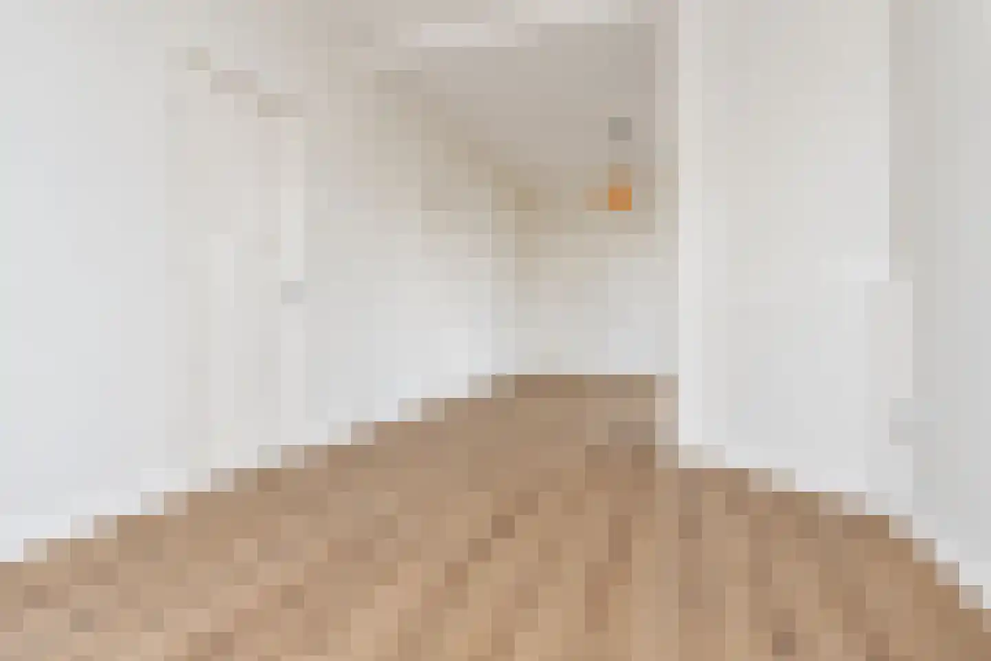 Frederik Ruyschstraat 14 A Den Haag thumbnail 15