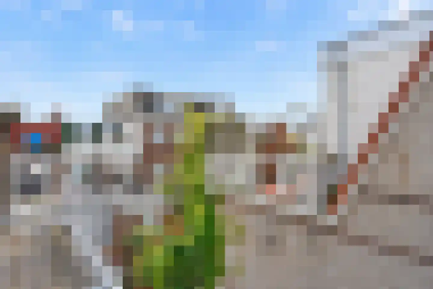 Frederik Ruyschstraat 14 A Den Haag thumbnail 27