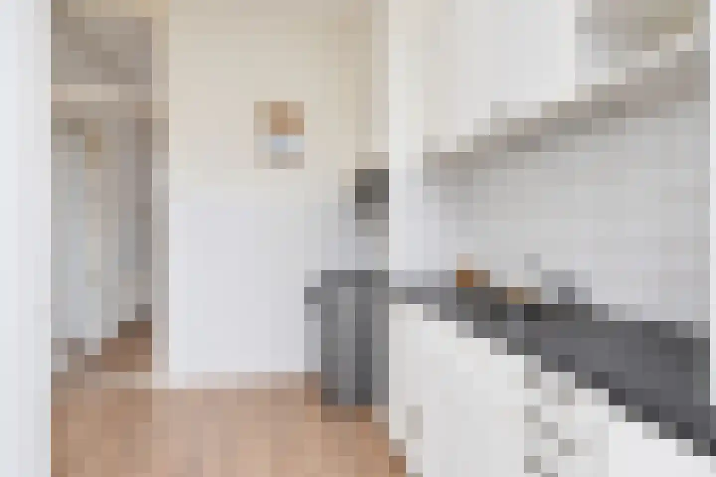 Frederik Ruyschstraat 14 A Den Haag thumbnail 28