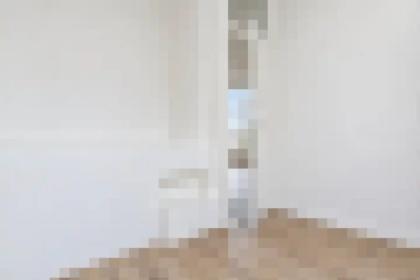 Frederik Ruyschstraat 14 A Den Haag thumbnail 31