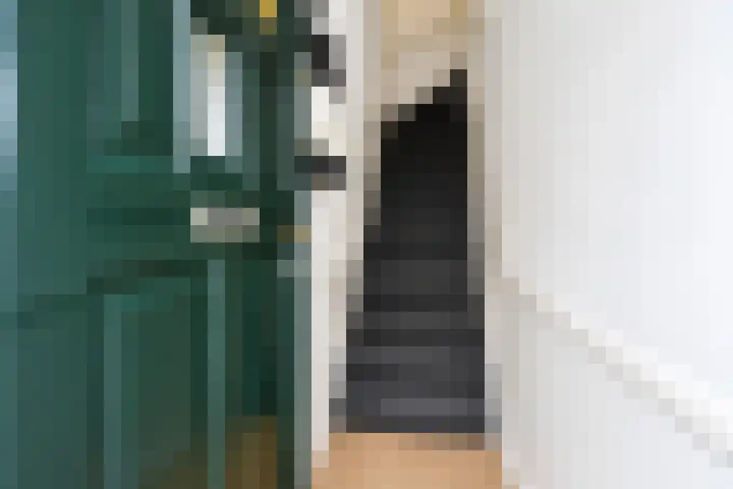 Frederik Ruyschstraat 14 A Den Haag thumbnail 6