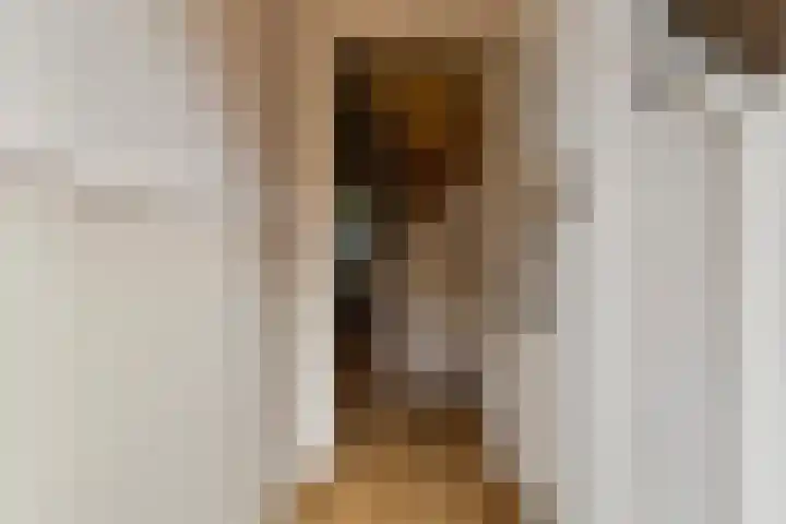 Frederik Ruyschstraat 20 Leeuwarden thumbnail 8