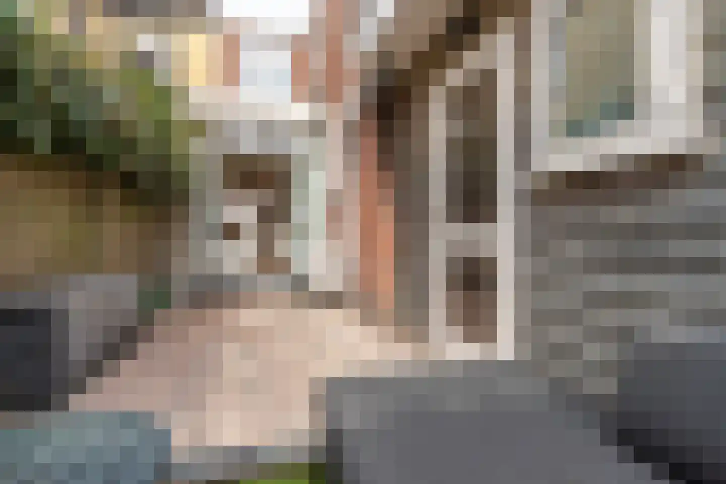 Frederik Ruyschstraat 40 Den Haag thumbnail 19