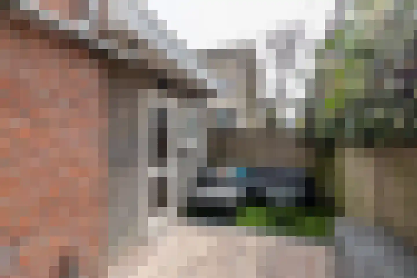 Frederik Ruyschstraat 40 Den Haag thumbnail 20