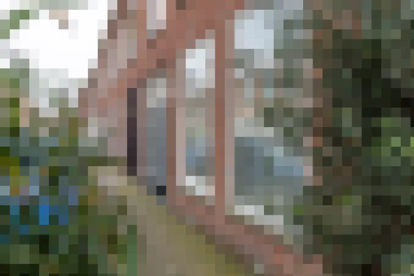 Frederik Ruyschstraat 40 Den Haag thumbnail 33