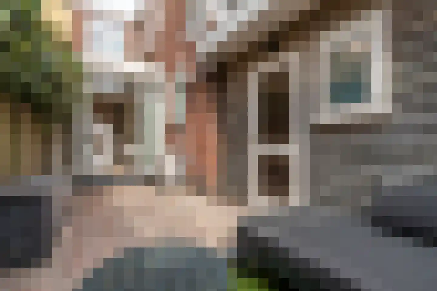Frederik Ruyschstraat 40 Den Haag thumbnail 4