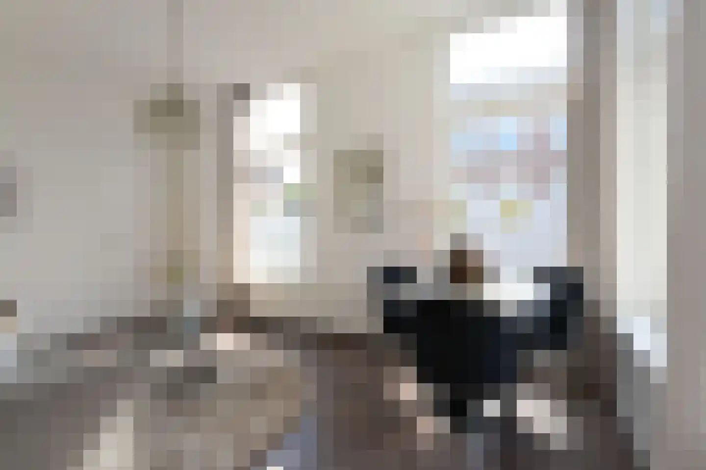 Frederik Ruyschstraat 67 Den Haag thumbnail 11